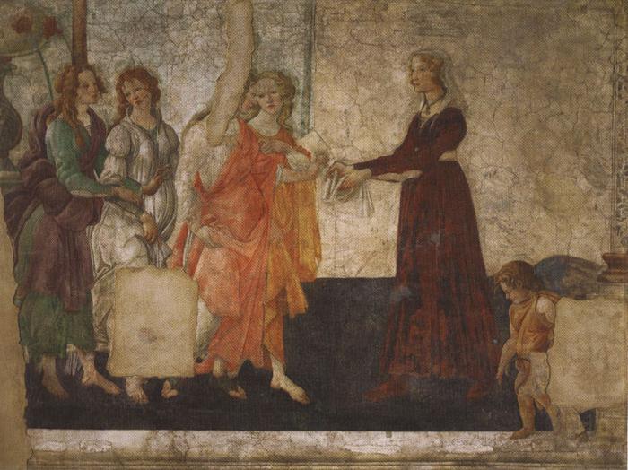 Venus and the Graces offering gifts to a young woman (mk36), Sandro Botticelli